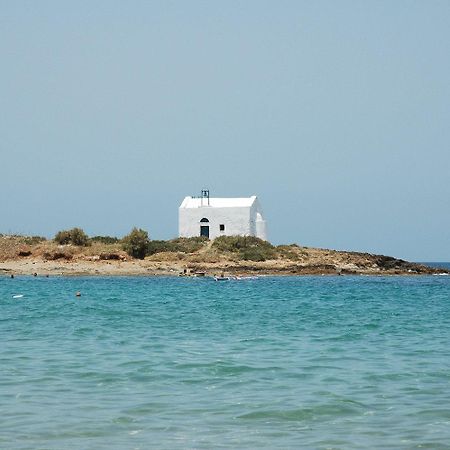 Parthenis Hotel & Suites Malia Exteriör bild